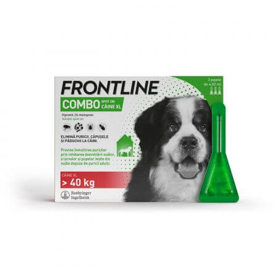 Frontline Combo Spot On Hond XL - 4,05 ml groene pipet, 3 pipetten, Frontline