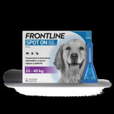 Frontline Spot On L, 20-40 kg, 3 buizen, Frontline