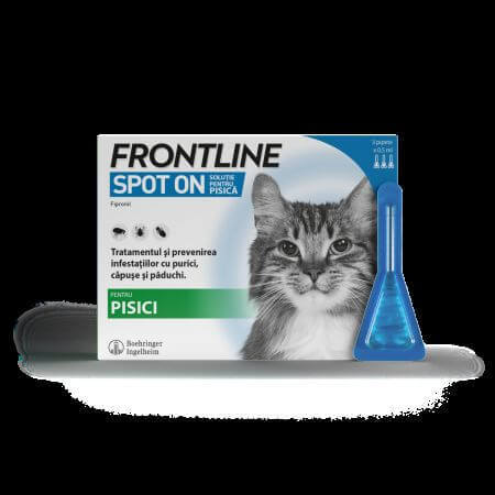 Frontline Spot On Kat, 3 pipetten, Frontline