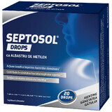 Septosol met methyleenblauw X 20 druppels, Biofarm