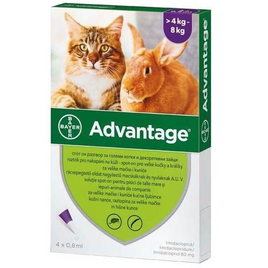 Solution antiparasitaire pour application cutanée chez les chats et les lapins de plus de 4 kg Advantage 80 Cat / Rabbit, 4 pipettes, Bayer Vet OTC