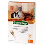 Antiparasitic solution for cutaneous application to cats and rabbits under 4 kg Advantage 40 Cat/Rabbit, 4 pipettes, Bayer Vet OTC