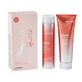 Packung Shampoo 300 ml + Conditioner 250 ml YouthLock f&#252;r reifes Haar, Joico