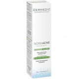 Dermedic Normacne vochtinbrengende talgregulerende gezichtscrème, 40 ml