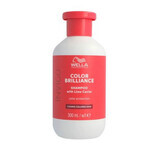 Shampoo voor gekleurd, stug haar Invigo Color Brilliance Coarse, 300 ml, Wella Professionals