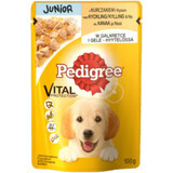 Pedigree Wet food junior dog avec du poulet et du riz, 100 g