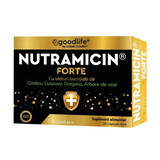 Nutramicin Forte, 20 gélules, Cosmo Pharm