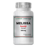 Estratto di melissa, 500 mg, 30 capsule, Cosmo Pharm