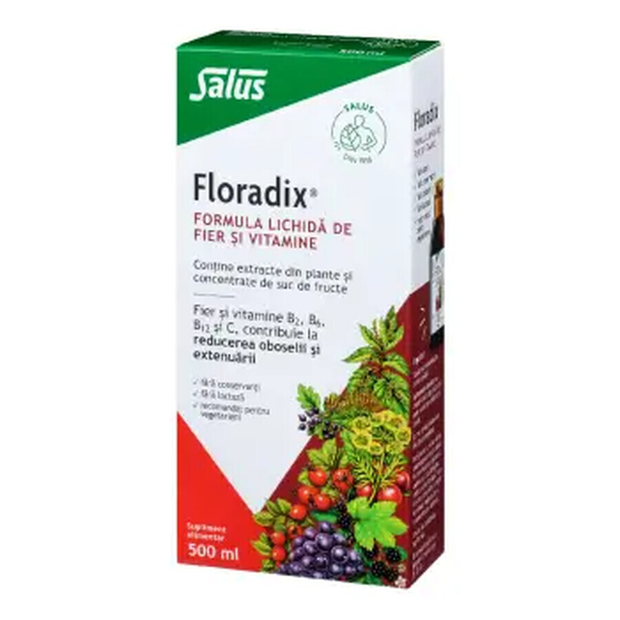 Formula lichida de fier si vitamine Floradix, 500 ml, Salus