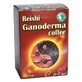 Ganoderma Reishi Caf&#233;, 15 sachets, Dr. Chen Patika