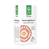 Gastroprotect, 60 gélules, Divine Star