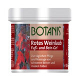 Botanis rode wijnstok extract gel, 500 ml, Glancos