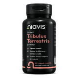 Tribulus Terrestris-extract, 60 capsules, Niavis