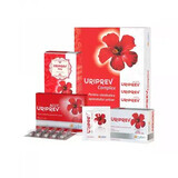 Complexe Uriprev, 10 gélules + 12 sachets + 80 g, Hyllan 