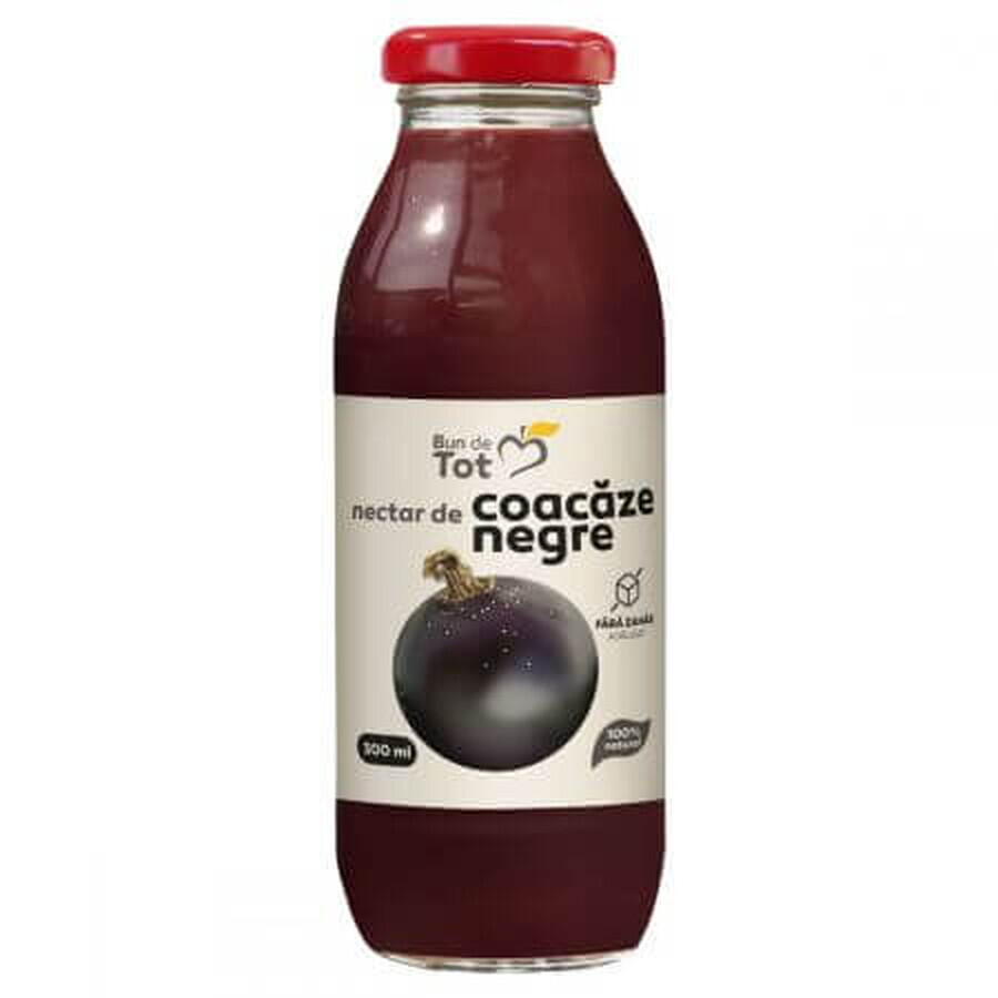 Nectar de cassis sans sucre Bun de Tot, 300 ml, Dacia Plant