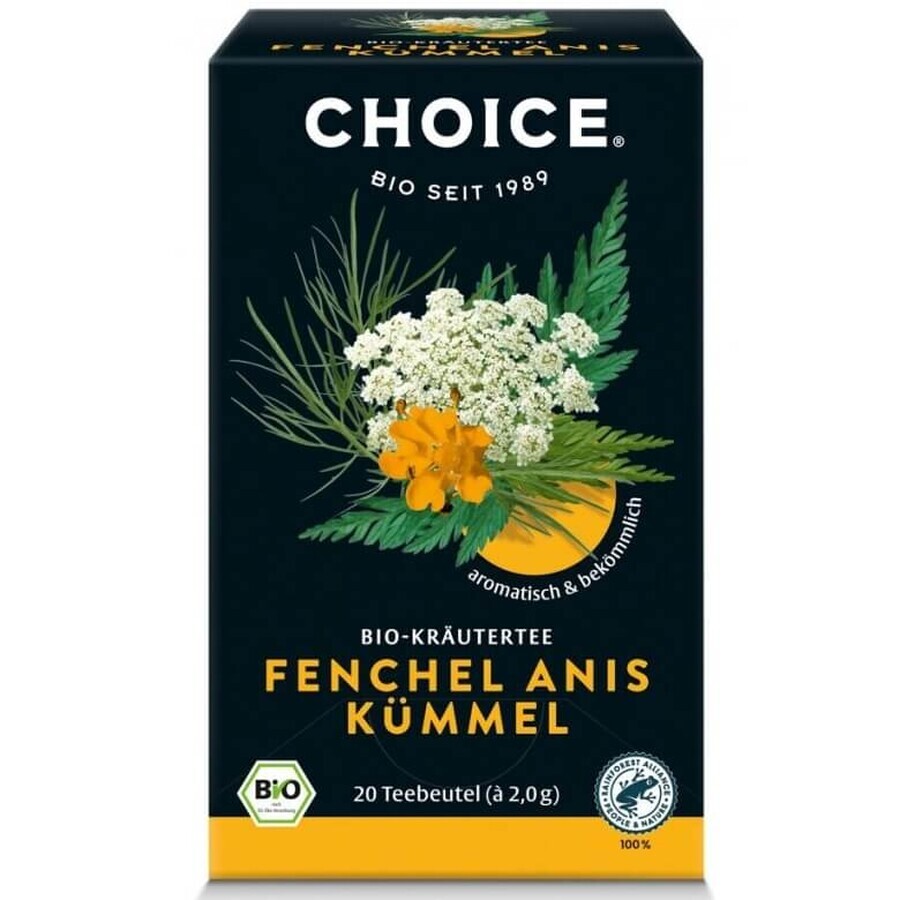 Tisane bio Choice au fenouil, anis et cumin, 20 sachets, Yogi Tea