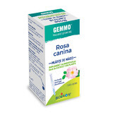 Rosa Canina Gemmo papaver extract, 60 ml, Boiron