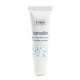 Lanolina voor lippen Lip Care, 10 g, Ziaja