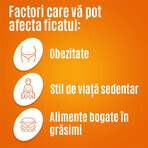 Essentiale Forte, 300 mg, 100 gélules, Sanofi