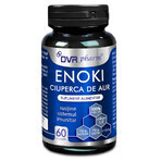 Enoki gouden paddenstoel, 60 capsules, DVR Pharm