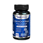 Ganoderma Reishi Triterpense Gestandaardiseerd, 60 capsules, DVR Pharm