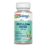 Ecume de psyllium, 525 mg, 100 gélules végétales