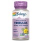 Tribulusvruchtenextract, 450 mg, 60 plantaardige capsules, Secom