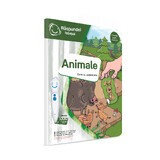 Animal Sticker Book, Raspundel Istetel