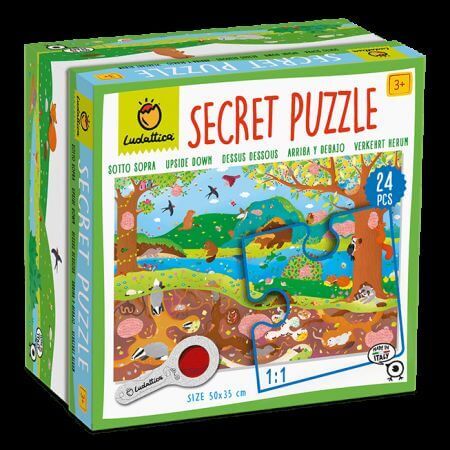 Puzzle Secret Mediul Inconjurator, Ludattica