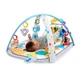 4 in 1 Spielmatte, Kickin' Tunes, Baby Einstein