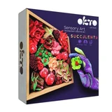 Succulents Wood&amp;Craft creation set, 21 x 21 cm, +12 years, Passion, Okto