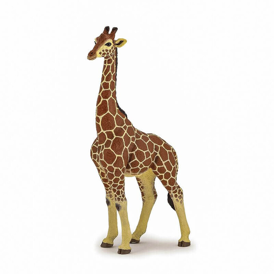 Giraffe figurine male, +3 years, Papo