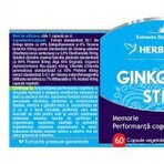 Ginkgo 120+ Stem, 120 capsule, Herbagetica