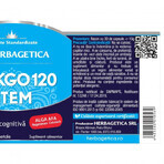 Ginkgo 120+ Stem, 120 capsule, Herbagetica