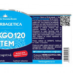 Ginkgo 120 Stem, 120 capsules, Herbagetica