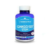 Ginkgo 120 Stem, 120 capsules, Herbagetica