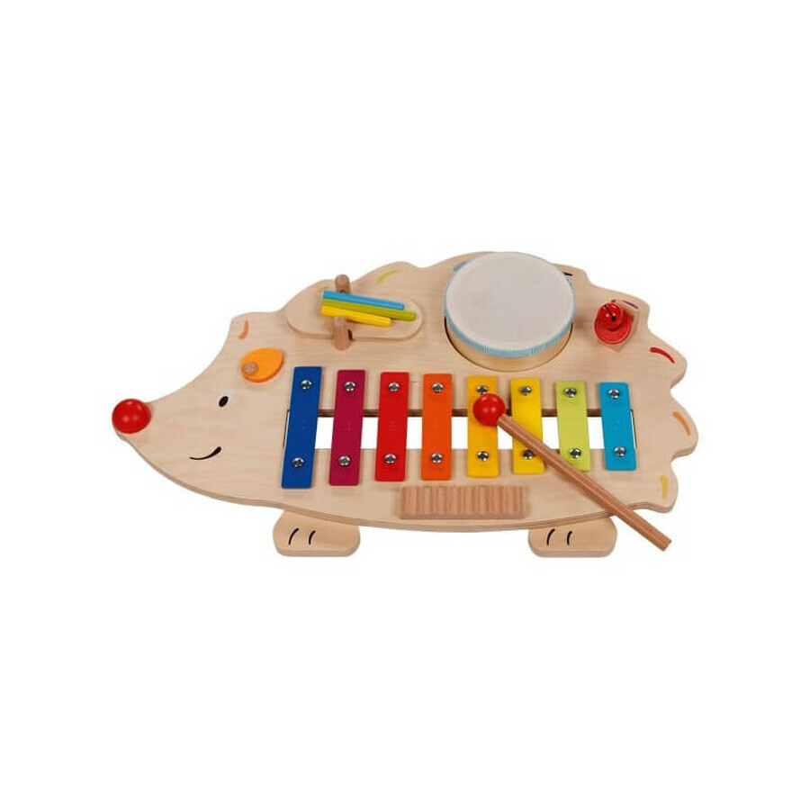 Aricel 6 in 1 muziekinstrumenten set, + 3 jaar, Goki