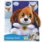 Romanian speaking puppy Bella, +12 months, Vtech Toodler
