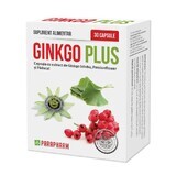 Ginkgo Plus, 30 gélules, Parapharm