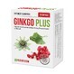 Ginkgo Plus, 30 Kapseln, Parapharm