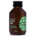 Tè fermentato biologico con probiotici Kombucha Shot Relax, 100 ml, Vigo