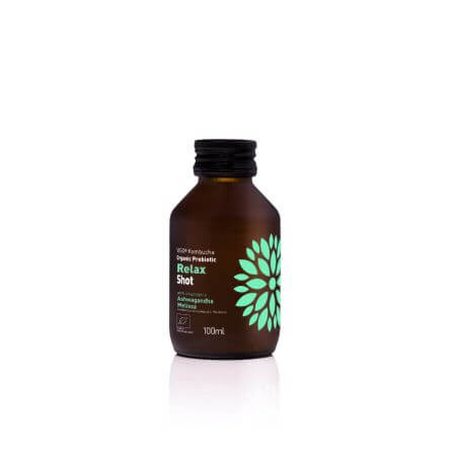 Tè fermentato biologico con probiotici Kombucha Shot Relax, 100 ml, Vigo