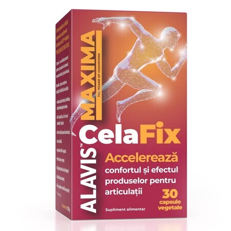 CelaFix, 30 plantaardige capsules, Alavis Maxima