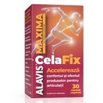 CelaFix, 30 capsule vegetale, Alavis Maxima