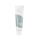 Kalmerende crème met alsemextract, 50 ml, Isntree