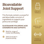 Glucosamine, hyaluronzuur, chondroïtine en MSM, 60 tabletten, Solgar