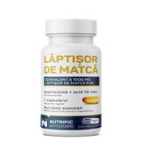 Beurre de Matcha, 60 gélules, Nutrific