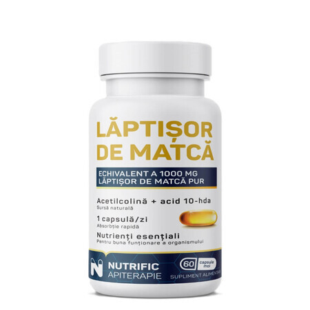 Matchaboter, 60 softgels, Nutrific