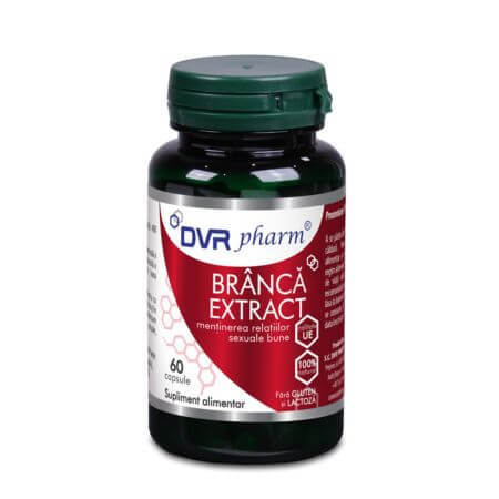 Bärentraubenextrakt, 60 Kapseln, DVR Pharm