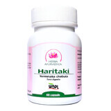Haritaki, 60 capsules, Ayurvedisch Kruid